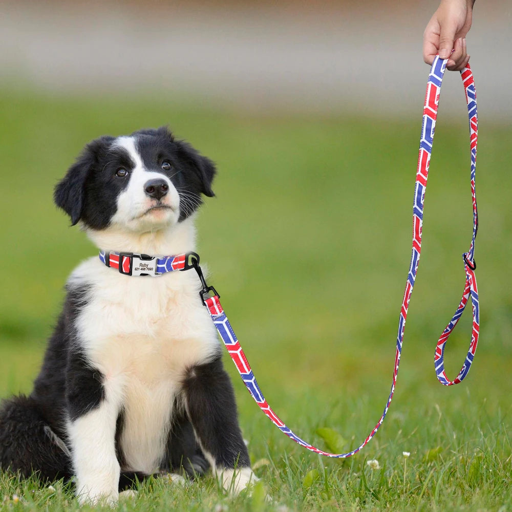 150cm Nylon Dog Leash Colorful Print Dogs Cat Lead Rope Pet Belt Leashes for Dogs Cats Walking Training French Bulldog Pug